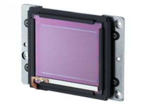 40 megapixels