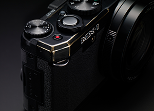DSLR-like features in a compact body
