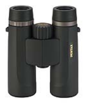 DCF NV 8x36